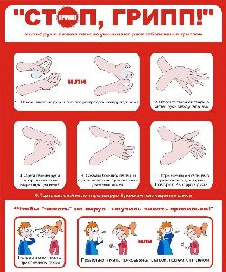 10 Золотых правил профилактики гриппа вирус