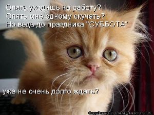 Более 80% украинцев отказались от больничного в пользу работы работа