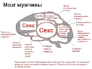 Чем отличается мужская и женская память? женщина