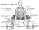 “Мертвая тяга” на рабочем месте правый