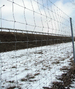 Недвижимость-2012: Купить станет дешевле, а аренда - дорого мочь