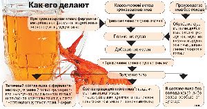 Пиво или «пивной напиток»? Что на самом деле пьют украинцы крахмал