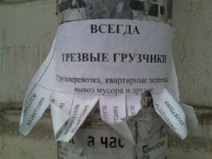 За расклейку объявлений в неположенном месте будут штрафовать объявление